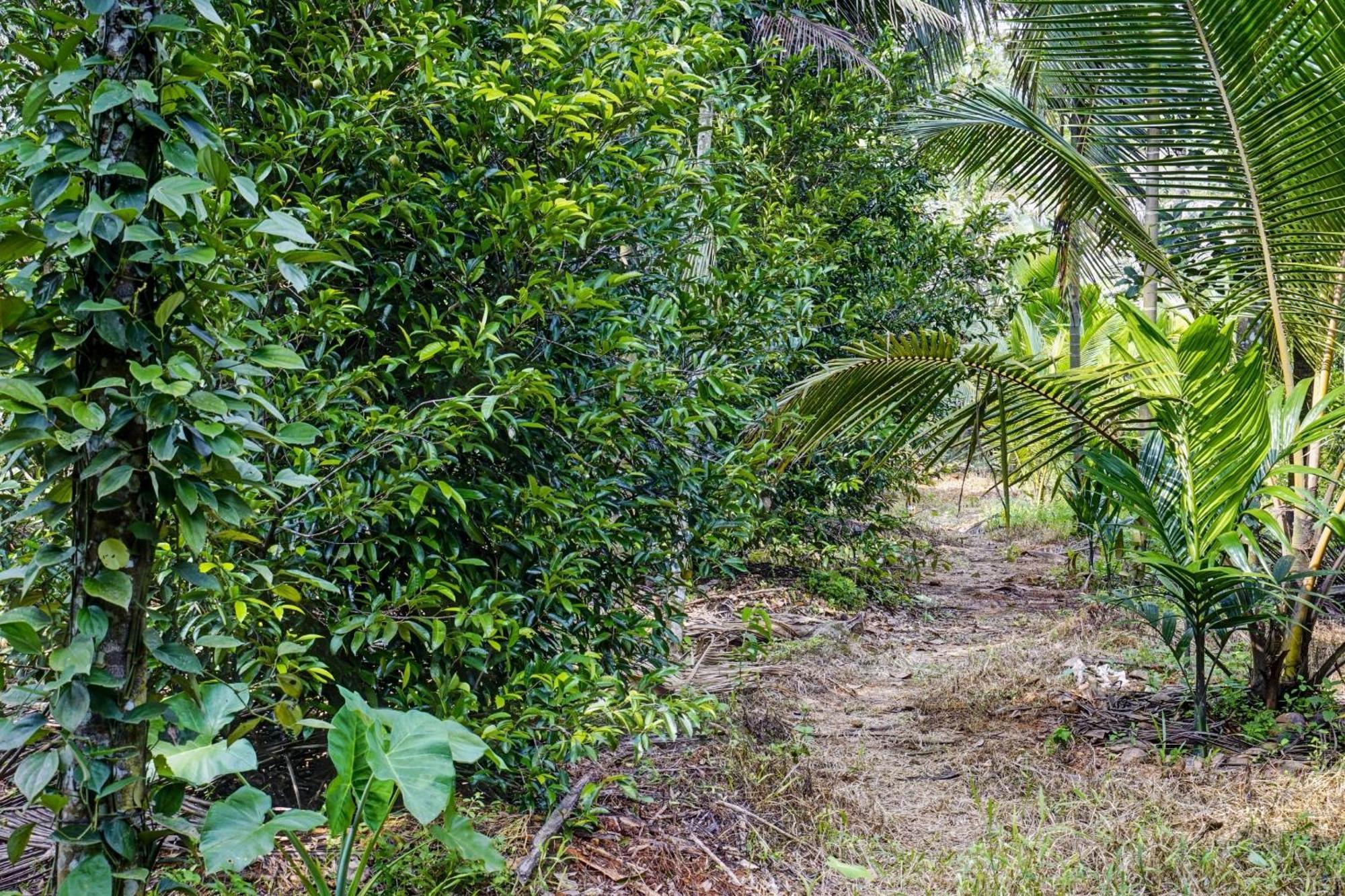 Spot On Shalom Palace Residency Neriyamangalam Exteriör bild