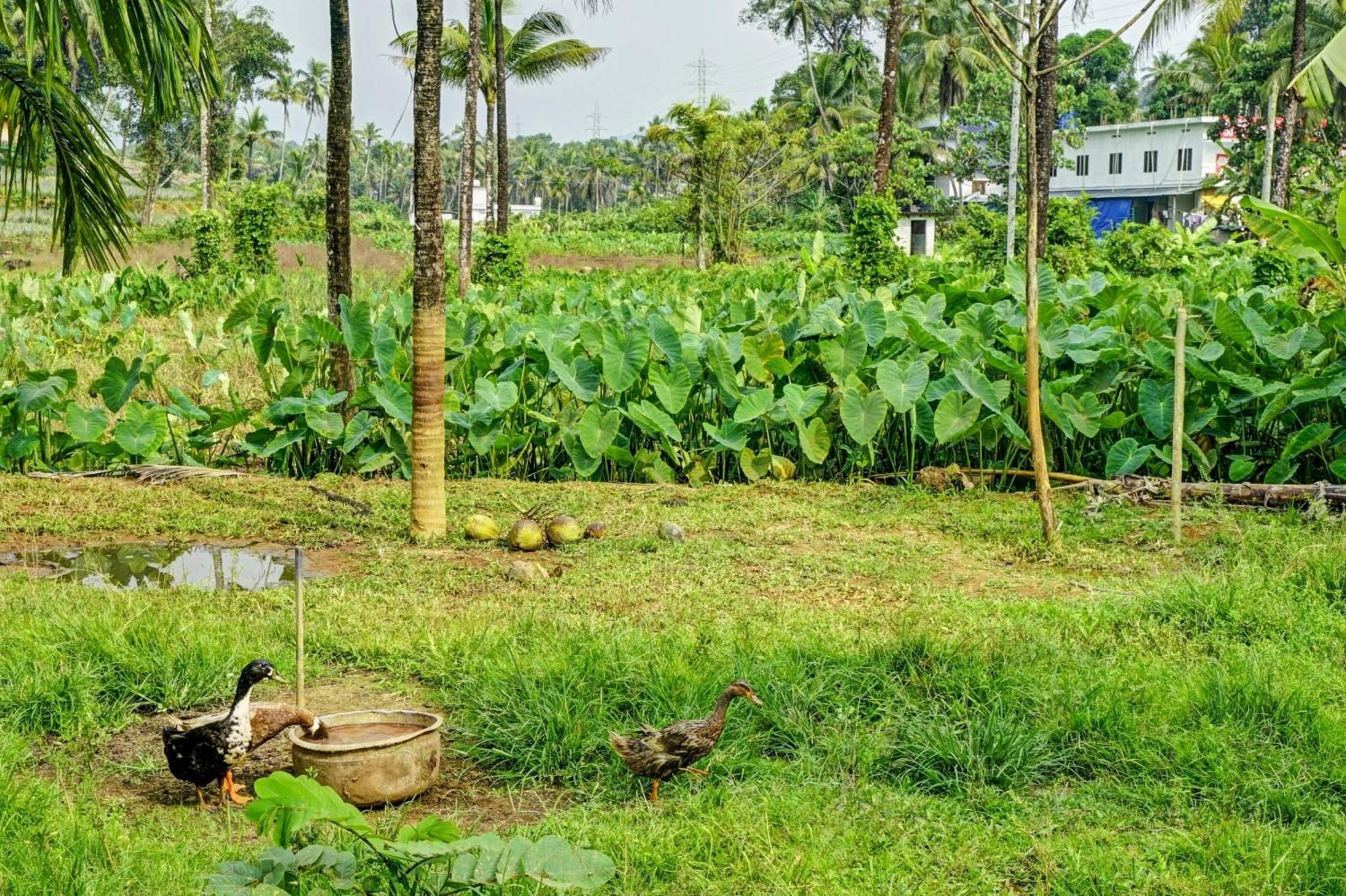 Spot On Shalom Palace Residency Neriyamangalam Exteriör bild